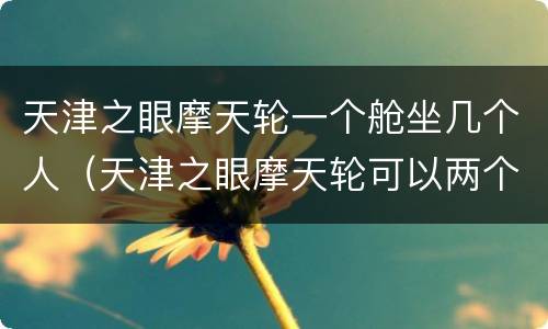 天津之眼摩天轮一个舱坐几个人（天津之眼摩天轮可以两个人单独坐吗）