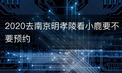 2020去南京明孝陵看小鹿要不要预约
