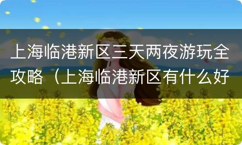 上海临港新区三天两夜游玩全攻略（上海临港新区有什么好玩的）
