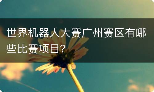 世界机器人大赛广州赛区有哪些比赛项目？