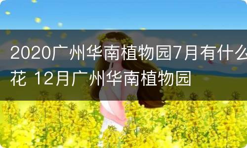 2020广州华南植物园7月有什么花 12月广州华南植物园
