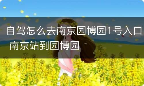 自驾怎么去南京园博园1号入口 南京站到园博园