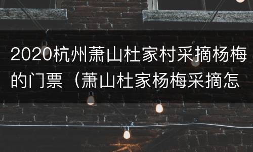 2020杭州萧山杜家村采摘杨梅的门票（萧山杜家杨梅采摘怎么样）