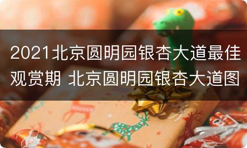2021北京圆明园银杏大道最佳观赏期 北京圆明园银杏大道图片
