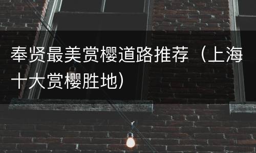 奉贤最美赏樱道路推荐（上海十大赏樱胜地）