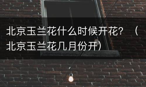 北京玉兰花什么时候开花？（北京玉兰花几月份开）