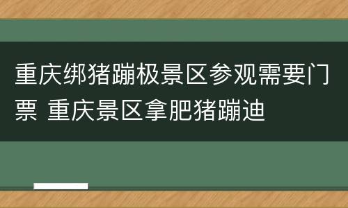重庆绑猪蹦极景区参观需要门票 重庆景区拿肥猪蹦迪