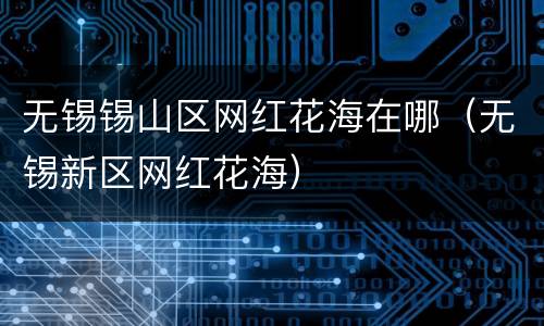 无锡锡山区网红花海在哪（无锡新区网红花海）