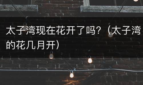 太子湾现在花开了吗?（太子湾的花几月开）
