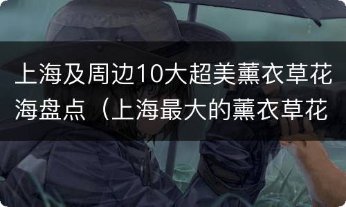 上海及周边10大超美薰衣草花海盘点（上海最大的薰衣草花海）