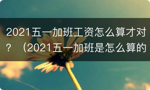 2021五一加班工资怎么算才对？（2021五一加班是怎么算的）