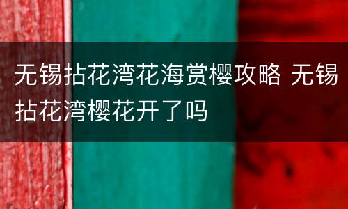 无锡拈花湾花海赏樱攻略 无锡拈花湾樱花开了吗