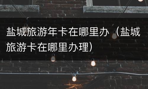 盐城旅游年卡在哪里办（盐城旅游卡在哪里办理）