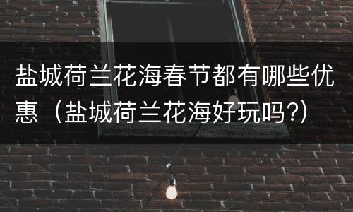 盐城荷兰花海春节都有哪些优惠（盐城荷兰花海好玩吗?）