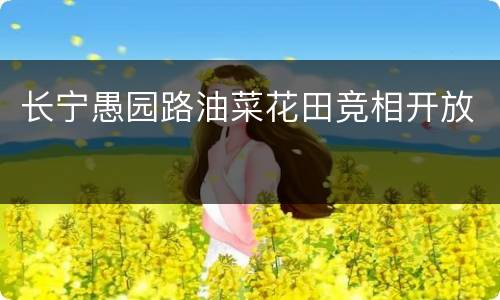 长宁愚园路油菜花田竞相开放