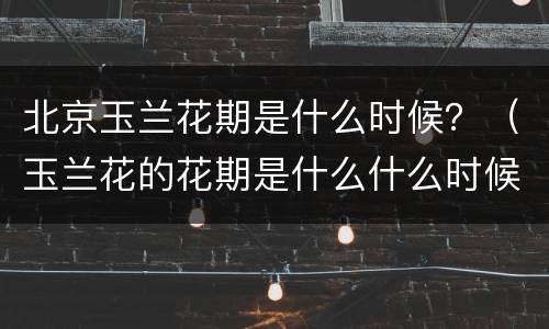 北京玉兰花期是什么时候？（玉兰花的花期是什么什么时候）