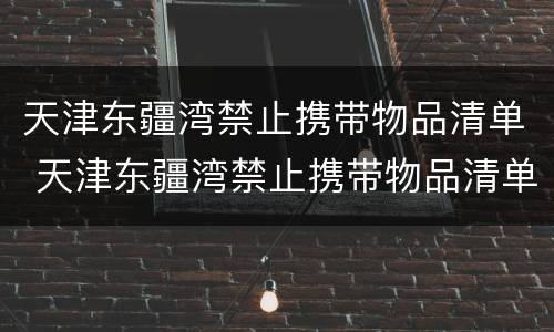 天津东疆湾禁止携带物品清单 天津东疆湾禁止携带物品清单图片