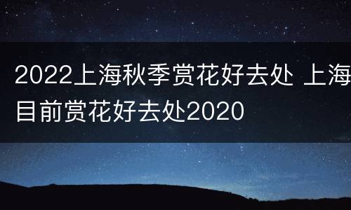 2022上海秋季赏花好去处 上海目前赏花好去处2020