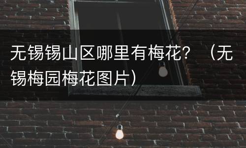 无锡锡山区哪里有梅花？（无锡梅园梅花图片）