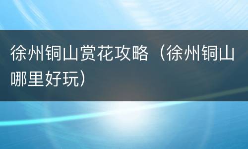 徐州铜山赏花攻略（徐州铜山哪里好玩）