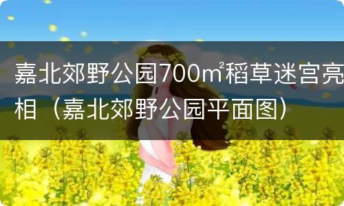 嘉北郊野公园700㎡稻草迷宫亮相（嘉北郊野公园平面图）