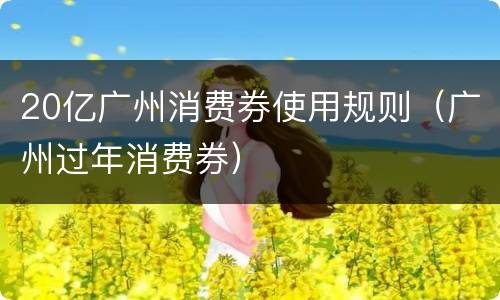 20亿广州消费券使用规则（广州过年消费券）