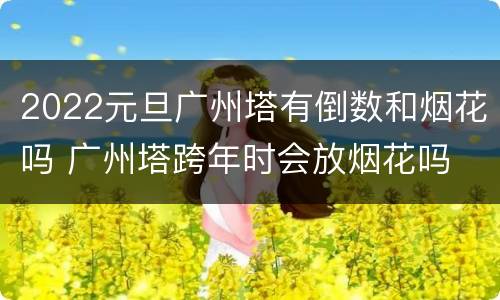 2022元旦广州塔有倒数和烟花吗 广州塔跨年时会放烟花吗