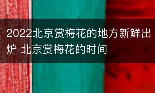 2022北京赏梅花的地方新鲜出炉 北京赏梅花的时间