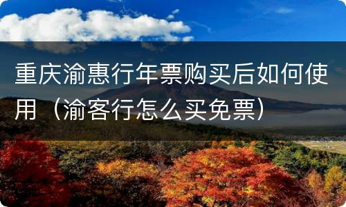 重庆渝惠行年票购买后如何使用（渝客行怎么买免票）