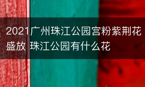 2021广州珠江公园宫粉紫荆花盛放 珠江公园有什么花