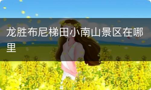 龙胜布尼梯田小南山景区在哪里