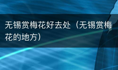 无锡赏梅花好去处（无锡赏梅花的地方）