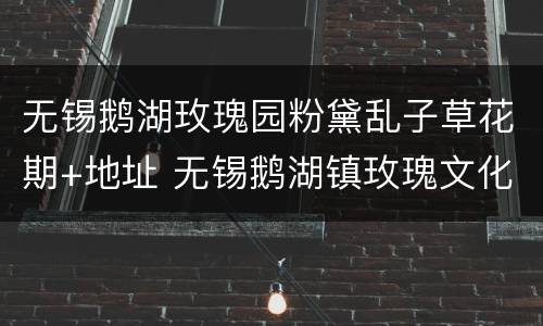 无锡鹅湖玫瑰园粉黛乱子草花期+地址 无锡鹅湖镇玫瑰文化园