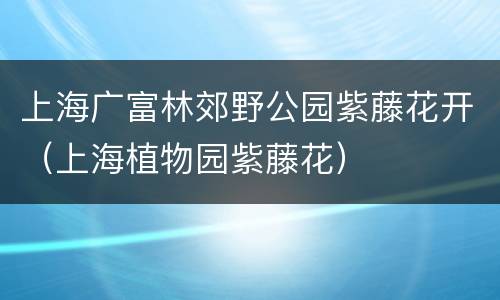 上海广富林郊野公园紫藤花开（上海植物园紫藤花）