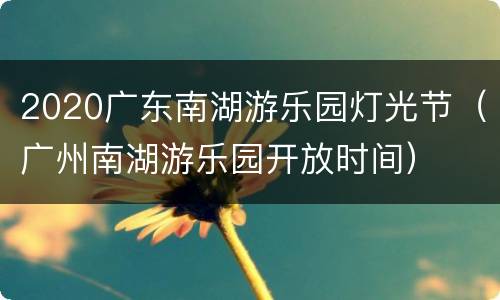 2020广东南湖游乐园灯光节（广州南湖游乐园开放时间）