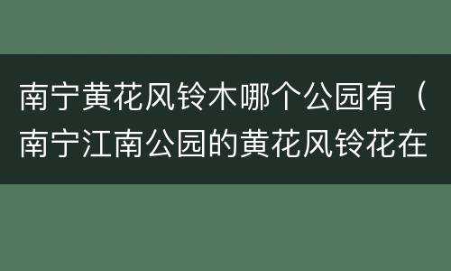 南宁黄花风铃木哪个公园有（南宁江南公园的黄花风铃花在哪个门）