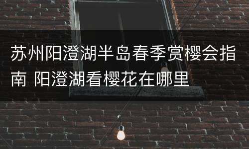 苏州阳澄湖半岛春季赏樱会指南 阳澄湖看樱花在哪里