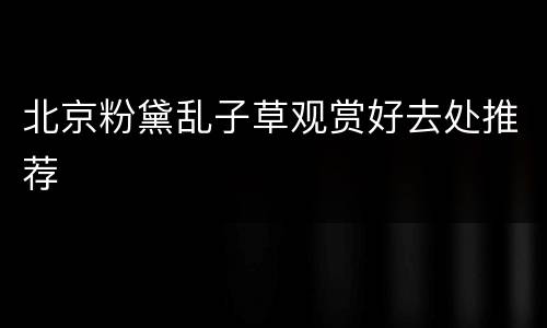 北京粉黛乱子草观赏好去处推荐