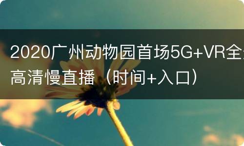 2020广州动物园首场5G+VR全景高清慢直播（时间+入口）