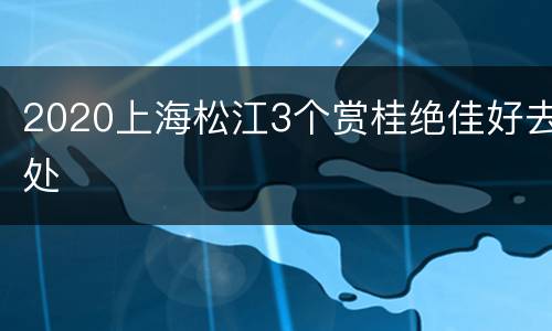 2020上海松江3个赏桂绝佳好去处