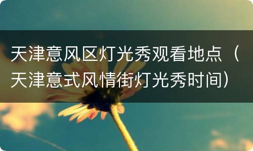 天津意风区灯光秀观看地点（天津意式风情街灯光秀时间）