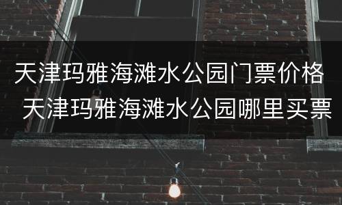 天津玛雅海滩水公园门票价格 天津玛雅海滩水公园哪里买票便宜
