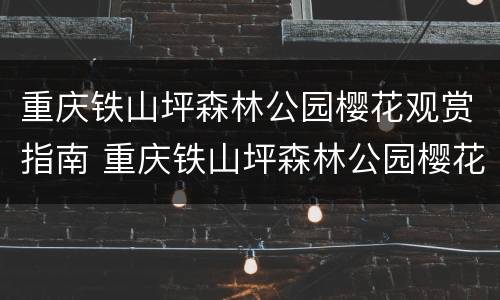 重庆铁山坪森林公园樱花观赏指南 重庆铁山坪森林公园樱花大道