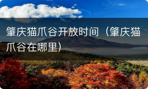 肇庆猫爪谷开放时间（肇庆猫爪谷在哪里）