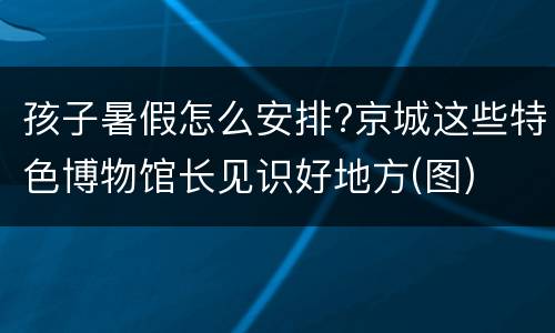 孩子暑假怎么安排?京城这些特色博物馆长见识好地方(图)