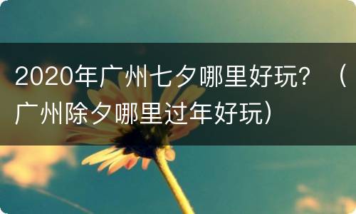 2020年广州七夕哪里好玩？（广州除夕哪里过年好玩）