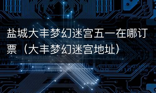 盐城大丰梦幻迷宫五一在哪订票（大丰梦幻迷宫地址）