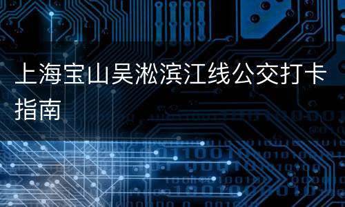 上海宝山吴淞滨江线公交打卡指南
