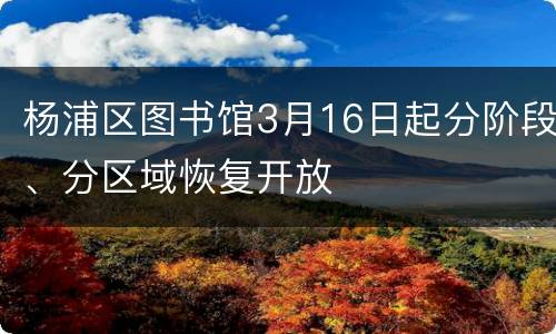 杨浦区图书馆3月16日起分阶段、分区域恢复开放