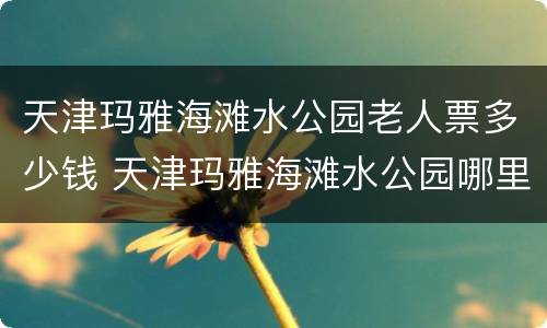 天津玛雅海滩水公园老人票多少钱 天津玛雅海滩水公园哪里买票便宜